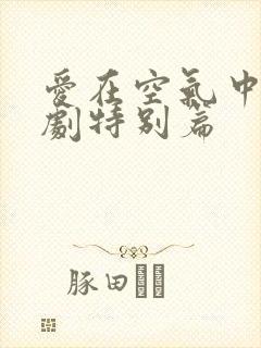 爱在空气中的泰剧特别篇封面