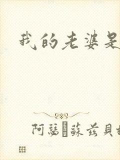 我的老婆是军阀