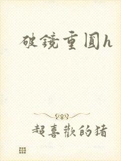 破镜重圆h
