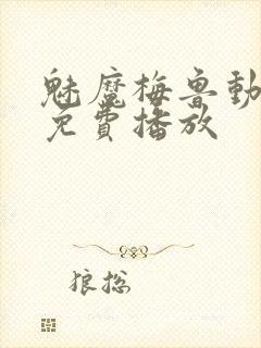 魅魔梅鲁动漫版免费播放