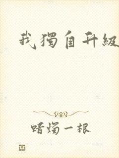 我独自升级国语封面