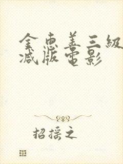 金惠善三级未删减版电影封面