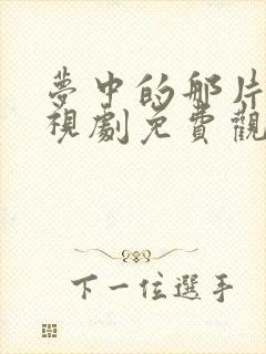 梦中的那片海电视剧免费观看封面