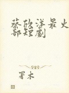 蔡欣洋最火的十部短剧