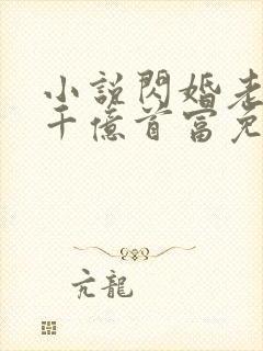 小说闪婚老公是千亿首富免费阅读