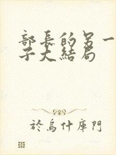 部长的另一位妻子大结局