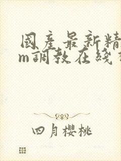 国产最新精品sm调教在线视频