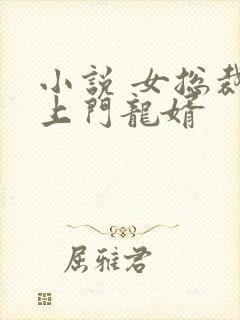 小说 女总裁的上门龙婿