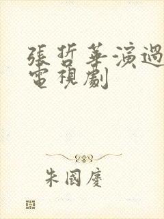 张哲华演过什么电视剧封面