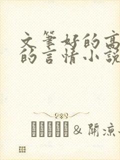 文笔好的高质量的言情小说