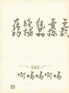 在线观看免费我的极品总裁老婆短剧