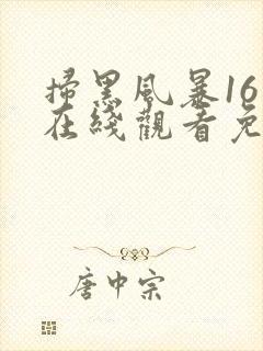 扫黑风暴16集在线观看免费完整版