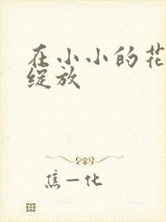 在小小的花蕾处绽放