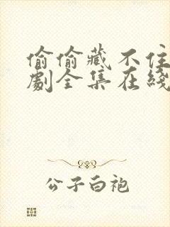 偷偷藏不住广播剧全集在线听封面