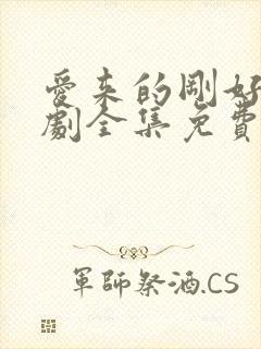 爱来的刚好电视剧全集免费观看