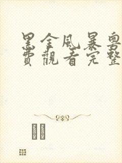 黑金风暴粤语免费观看完整版