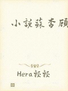 小说苏杳顾君亦封面