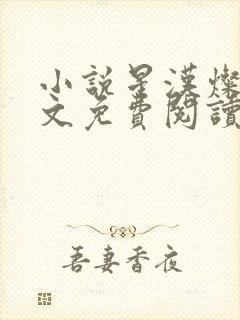 小说星汉灿烂全文免费阅读封面