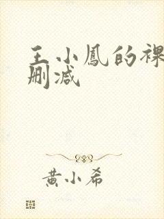 王小凤的裸乳无删减