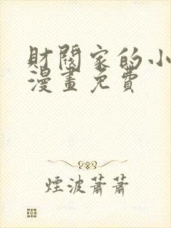 财阀家的小儿子漫画免费