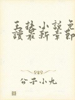 王扶小说免费阅读最新章节无弹窗