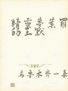 精灵梦叶罗丽中的王默