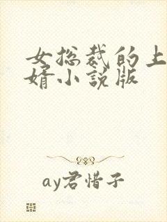 女总裁的上门龙婿小说版封面