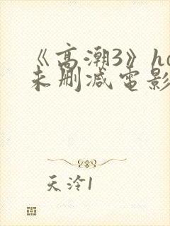 《高潮3》hd未删减电影