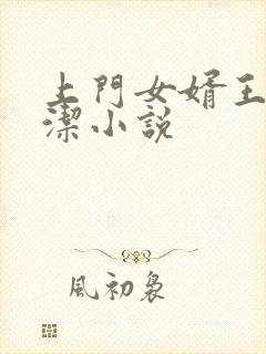 上门女婿王浩李洁小说封面