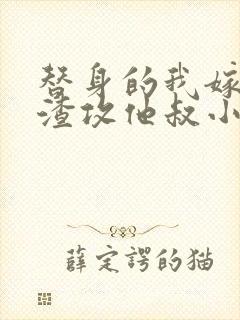 替身的我嫁给了渣攻他叔小说