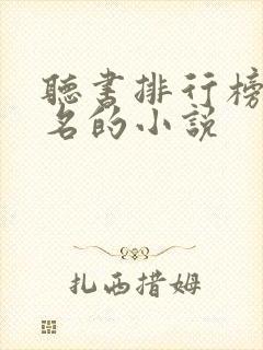 听书排行榜前十名的小说