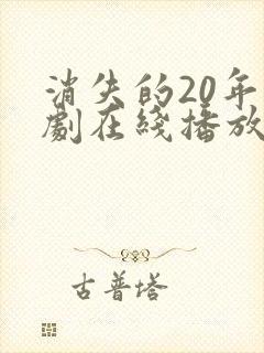 消失的20年短剧在线播放免费观看