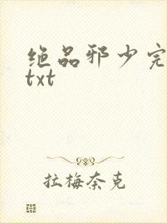 绝品邪少完整版txt