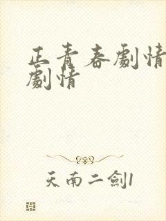 正青春剧情分集剧情