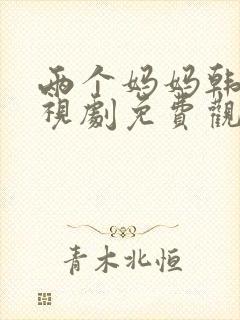 两个妈妈韩剧电视剧免费观看全集