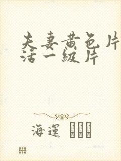 夫妻黄色片性生活一级片