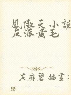 凤傲天小说里的反派黄毛