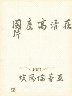 国产高清在线毛片