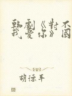 韩剧《对不起,我爱你》国语