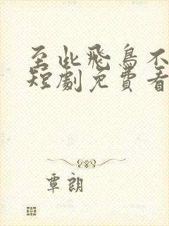 至此飞鸟不相逢短剧免费看