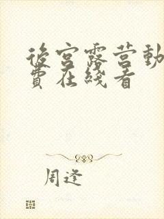 后宫露营动漫免费在线看封面