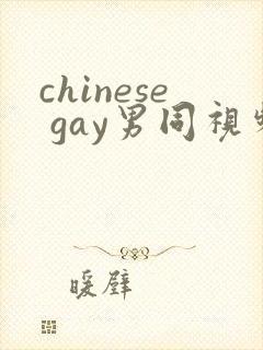 chinese gay男同视频网站