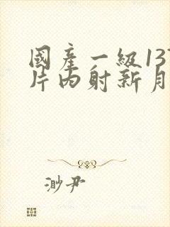 国产一级137片内射新月女