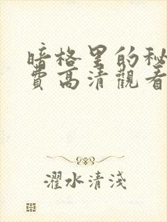 暗格里的秘密免费高清观看