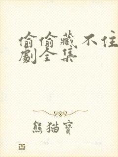 偷偷藏不住广播剧全集