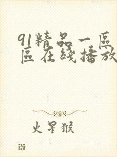 91精品一区二区在线播放