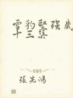 雪豹坚强岁月第十三集