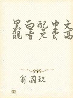 黑白配中文在线观看免费高清电影封面