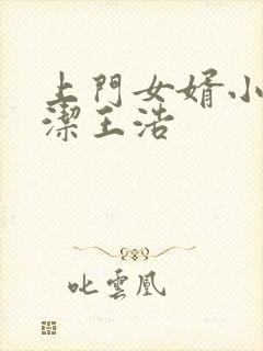 上门女婿小说李洁王浩