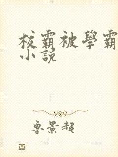 校霸被学霸欺负小说